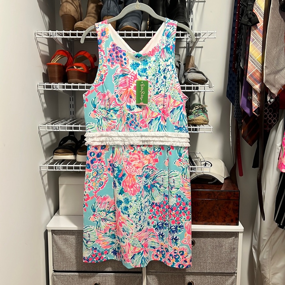 Arden shift dress NWT